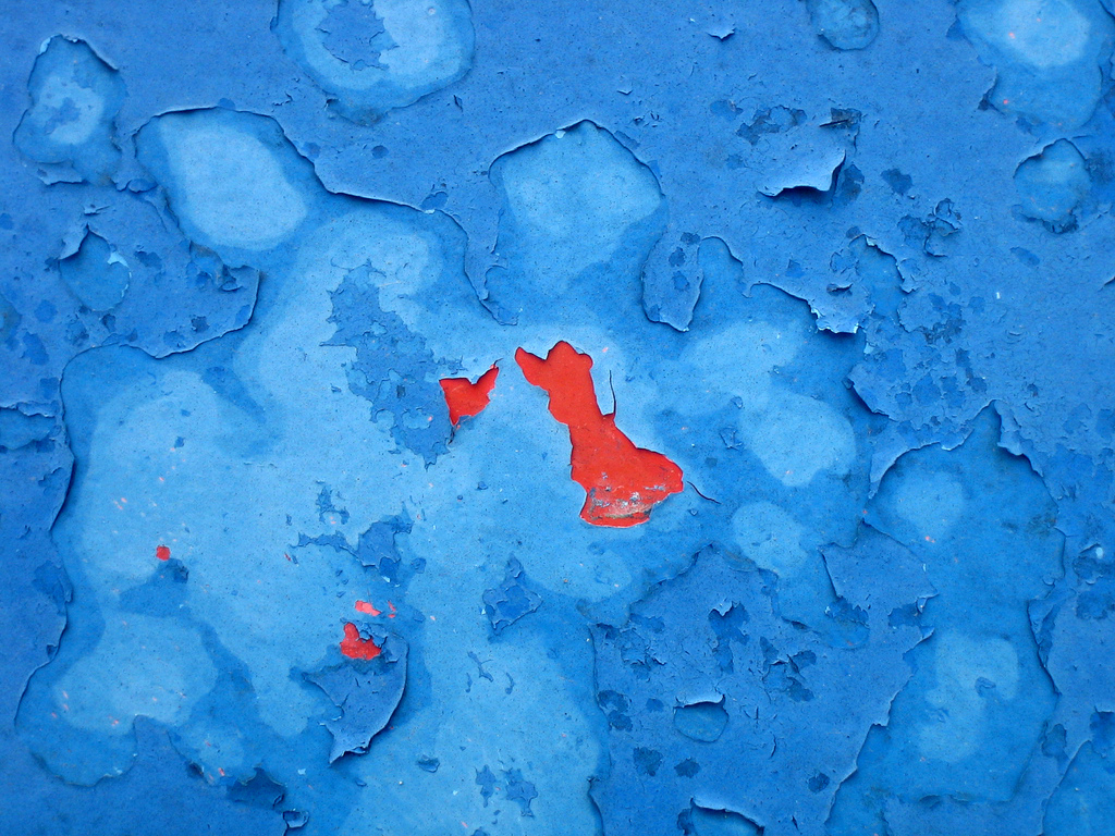 Lead Hazard Awareness Project Lead in Paint Clean Water Fund